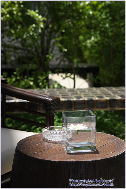sol cafe 이미지