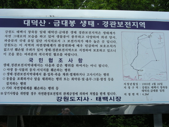 용연골 이미지