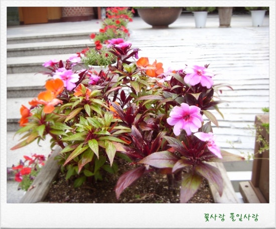 성심조경 이미지
