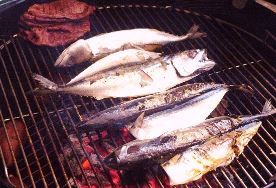 바베큐이야기 이미지