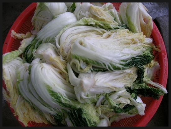 동강태용래프팅 이미지