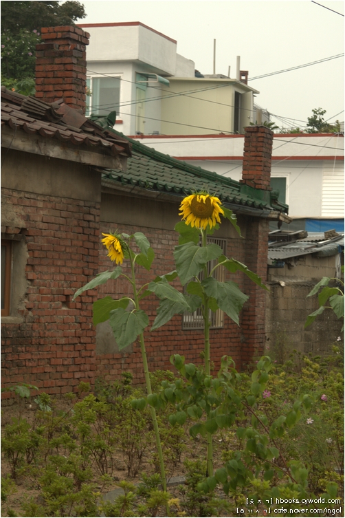 삼거리 정육점 이미지