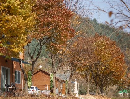 굿모닝민박 이미지