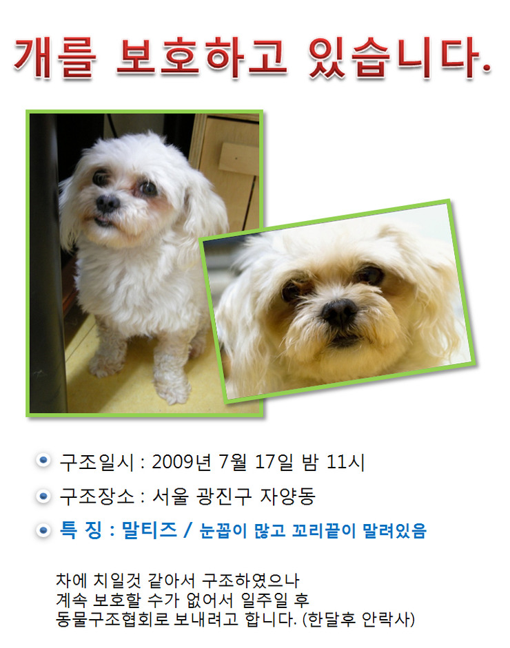 말티가는길 이미지
