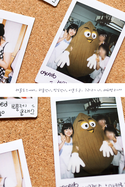 레꼴두스 이미지