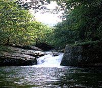 주변산 이미지