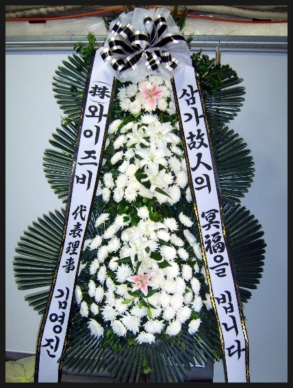 에프에이치 이미지