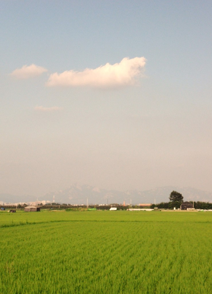 논밭 이미지
