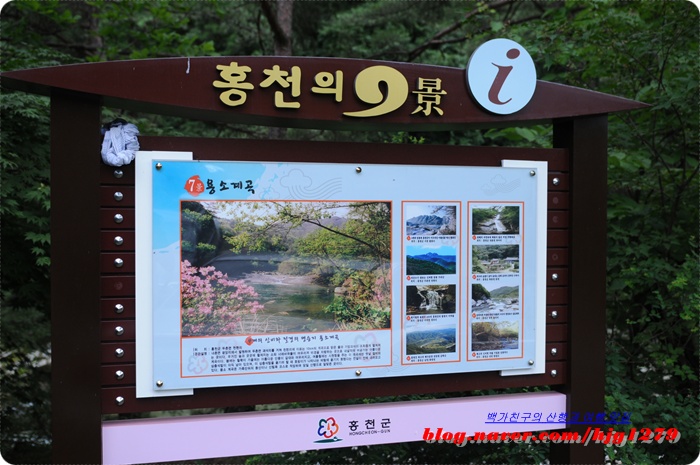 진달래핀풍경 이미지