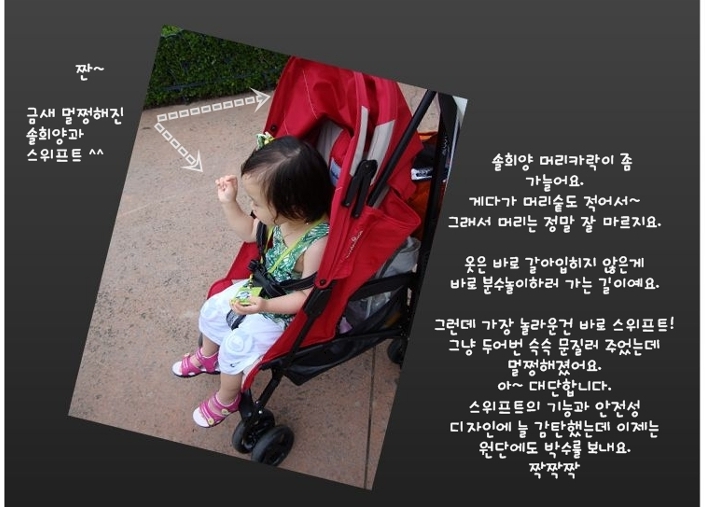 스위프트랜드 이미지