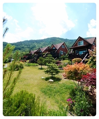정선펜션1박2일 이미지