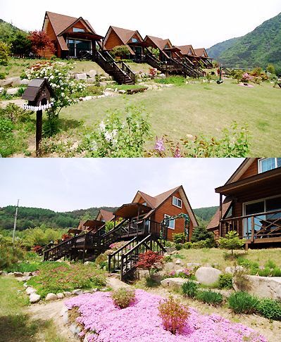 달과 별 이미지