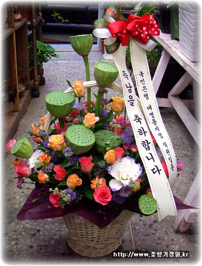파티마산부인과 이미지