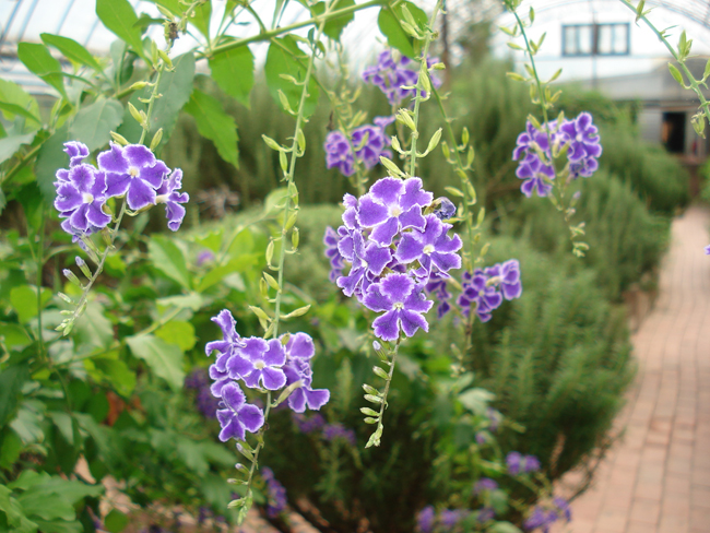 길배달 이미지