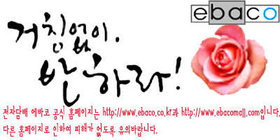 대하전자 이미지