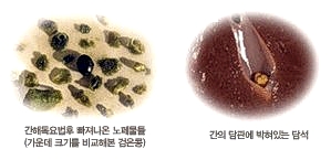 명쾌한한의원 이미지