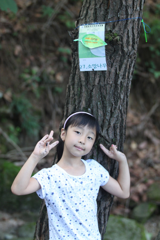 서울수송초등학교 이미지