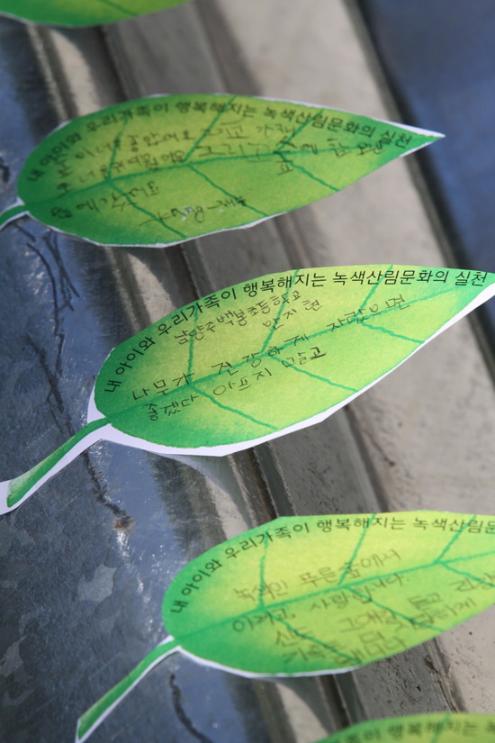 남양주백봉초등학교 이미지