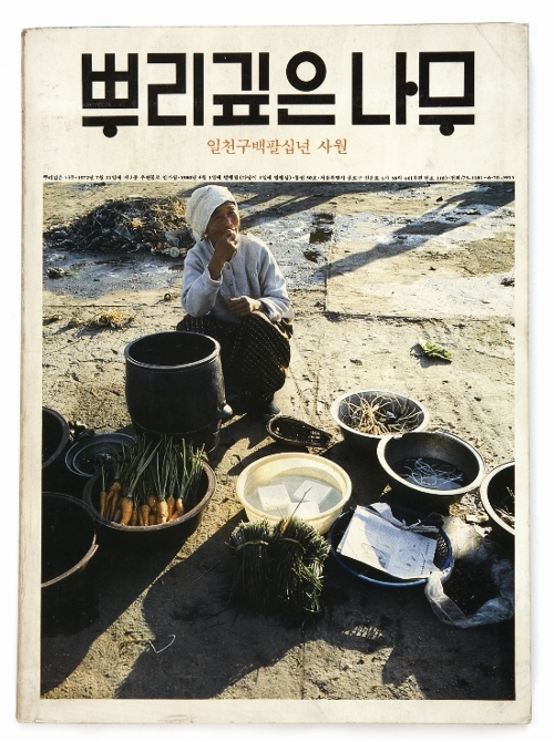 샘이깊은물 이미지