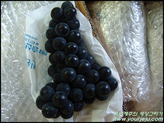 은성농산물 이미지