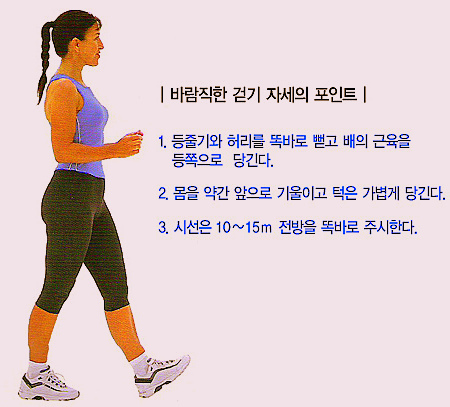 와사 이미지