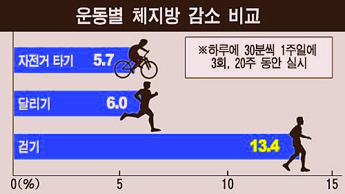 와사 이미지