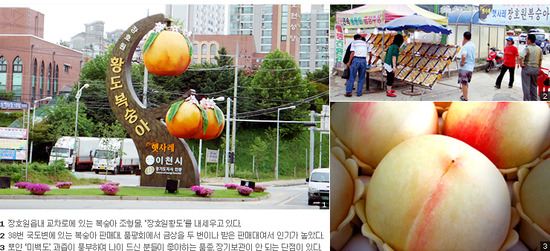 경기동부과수농업협동조합 이미지