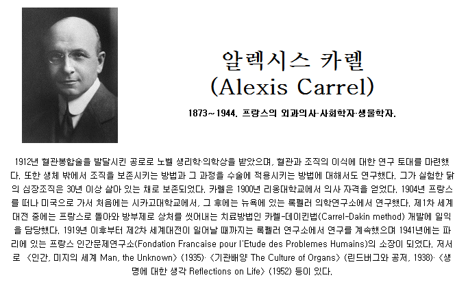 백년전에 이미지