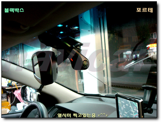 카내비 이미지