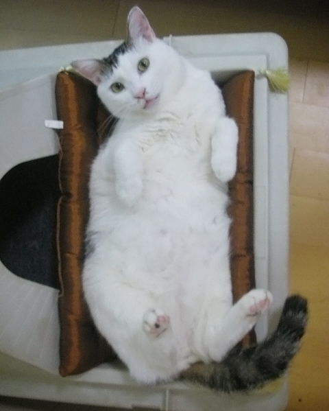 꾸름 이미지