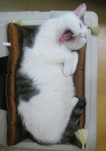 꾸름 이미지