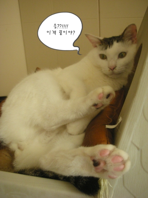 꾸름 이미지