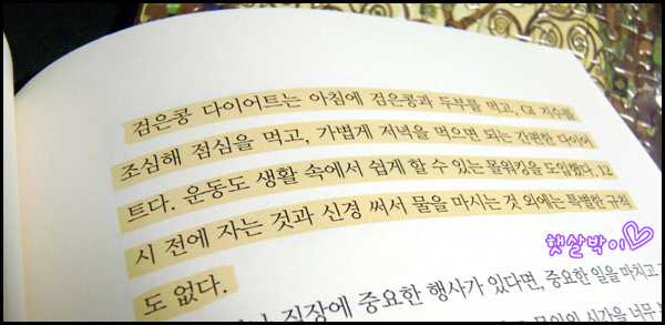살잡이다이어트 이미지