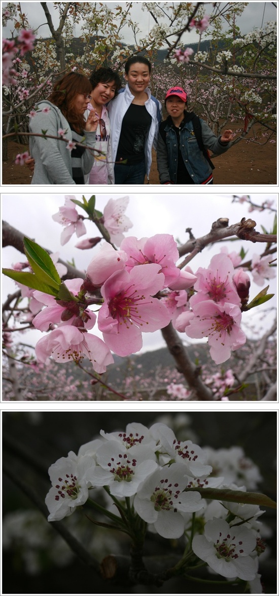 복사마을 이미지