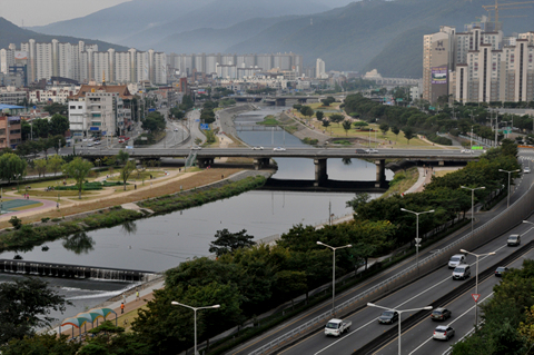신천대로사람들 이미지