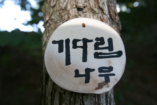 한미유치원 이미지