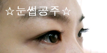 공주 속눈썹 이미지