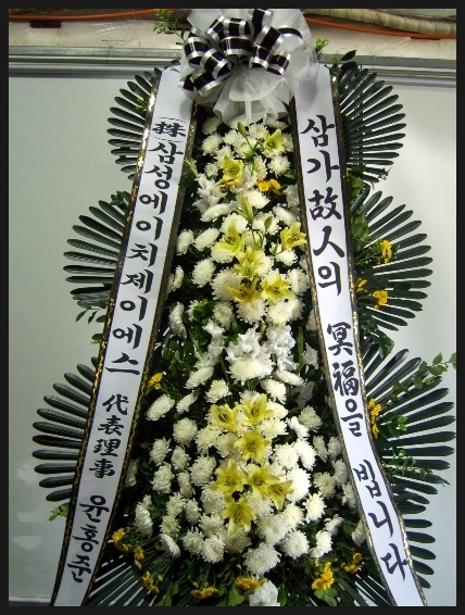 에이치제이에스 이미지