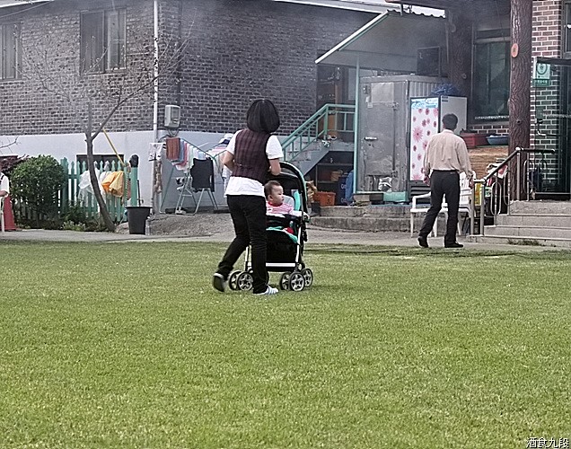 금남멧돼지 이미지