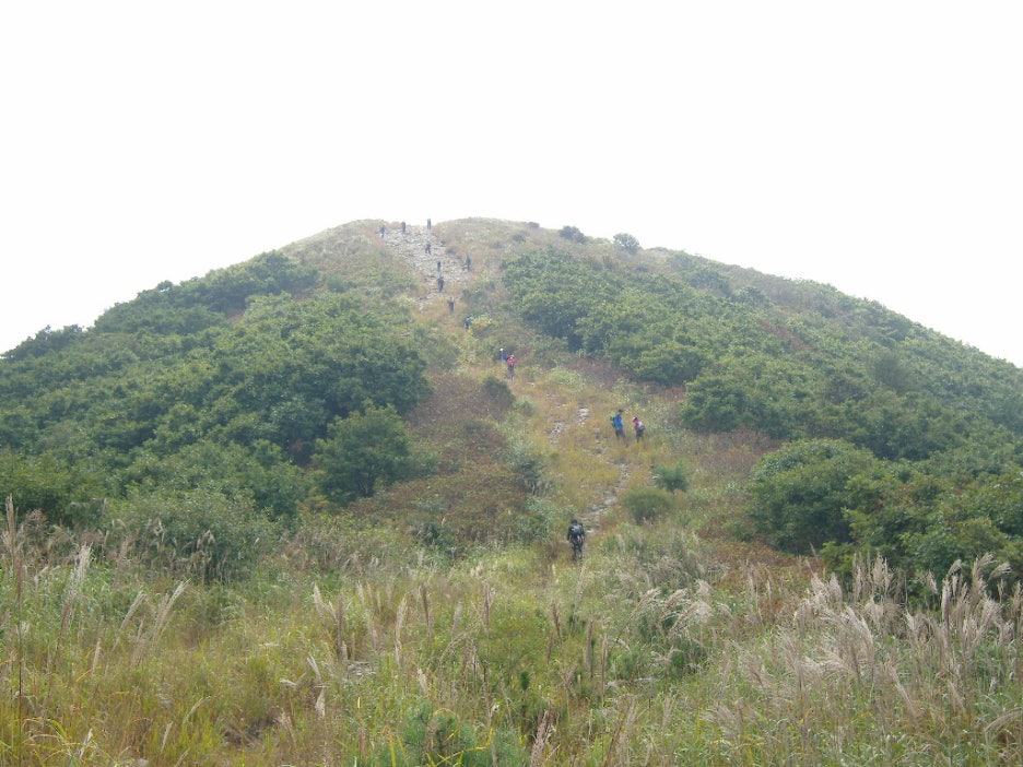 조망바위 이미지