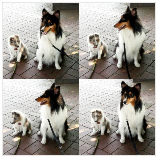 오스카 이미지