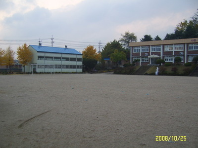 내대초등학교 이미지