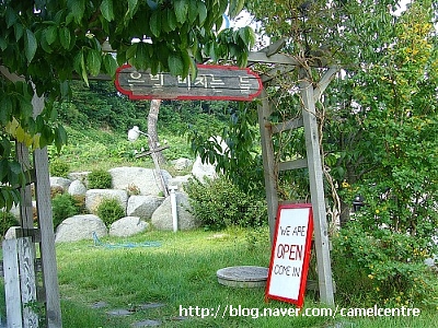 은빛비치는들 이미지