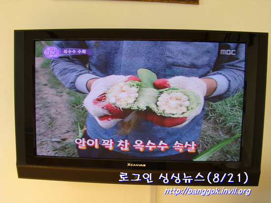싱싱농가 이미지
