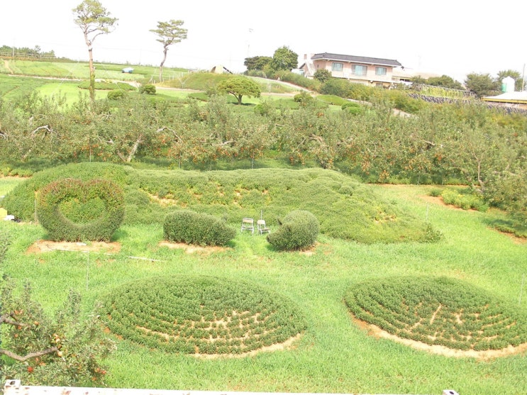 복돼지동산 이미지