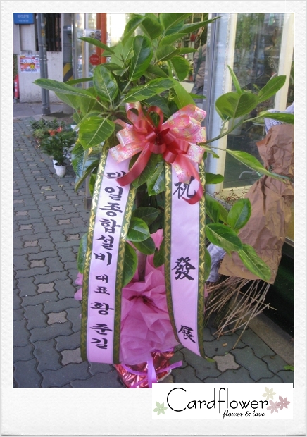 대일종합설비 이미지