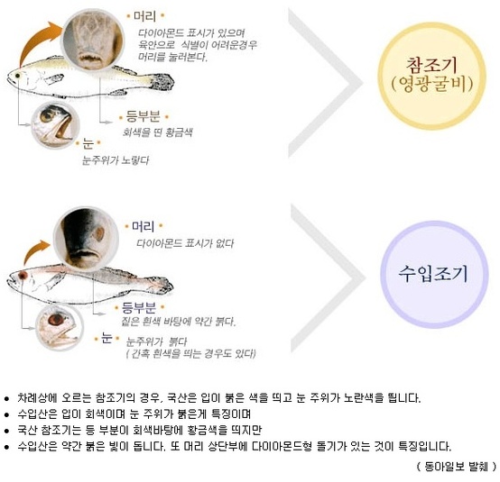 법성굴비영광 이미지