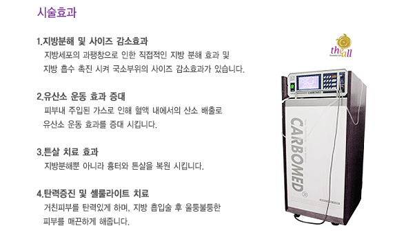 디올테라피 이미지