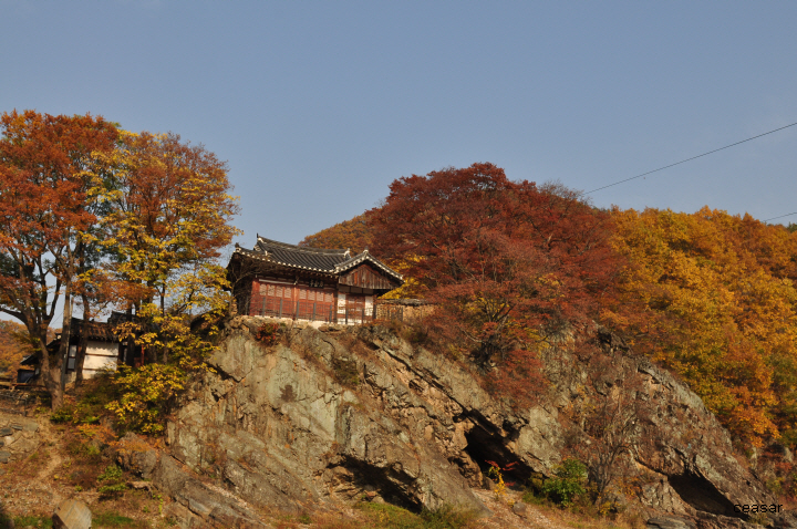 푸른초장농원 이미지