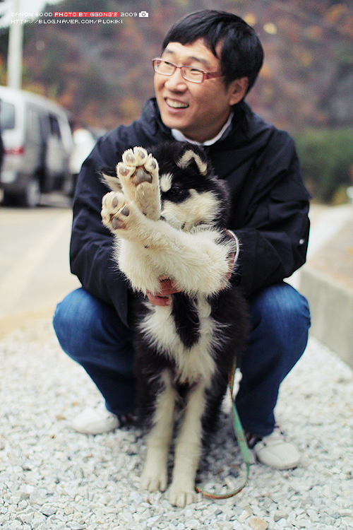 락있수다테마펜션 이미지